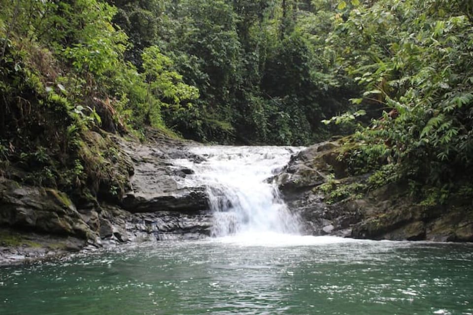 Take a hike to one of the many swimming holes
