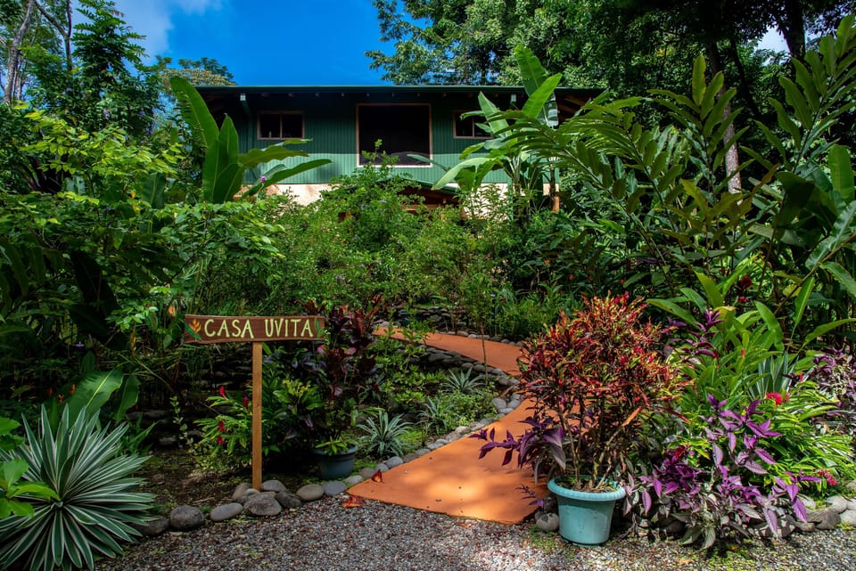 Welcome to Casa Uvita