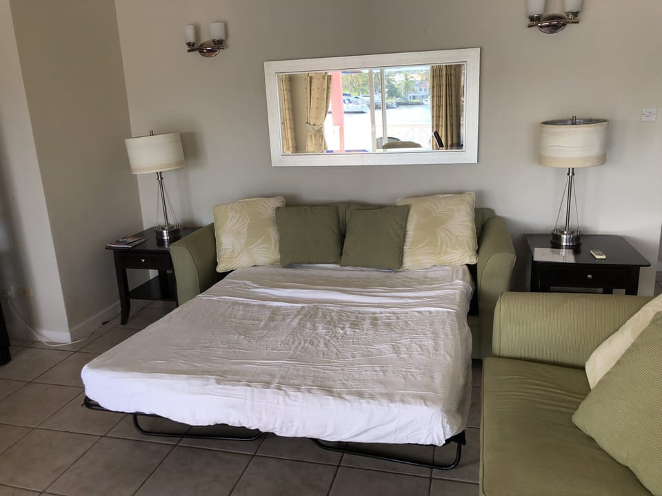 Pull out couch in living room.