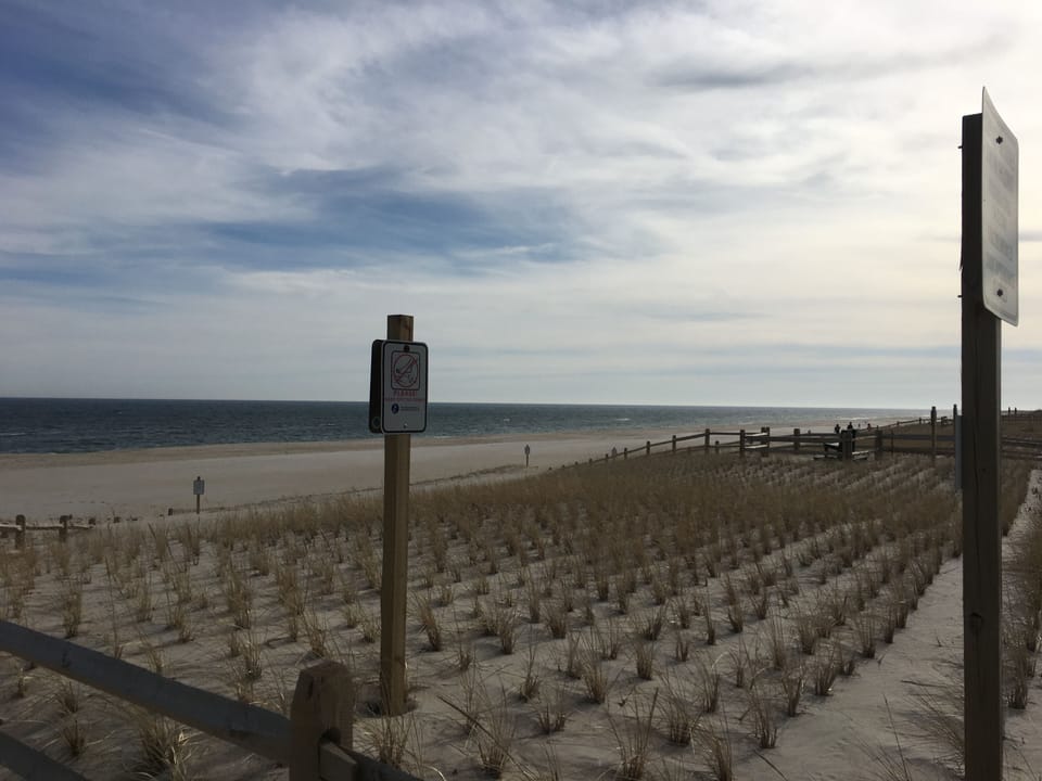 Beach View - South