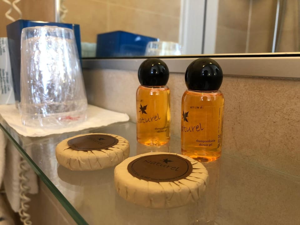 Shower, free toiletries, hair dryer, bidet