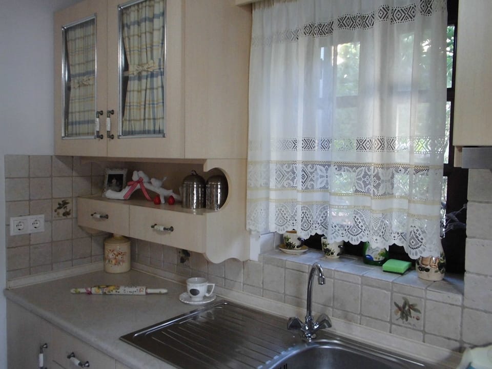 Modern  fully-equipped kitchen with full stove and oven 

