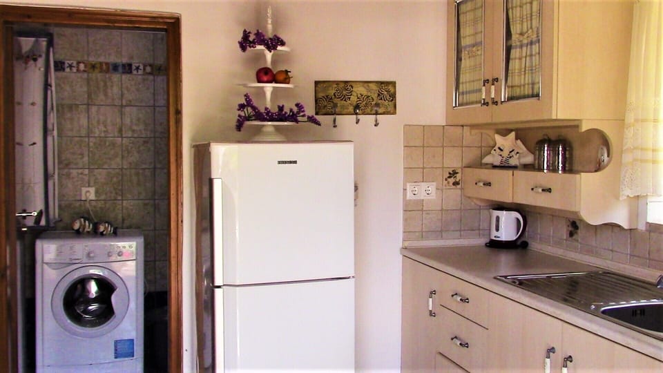 All modern appliances. Note washing machine. 