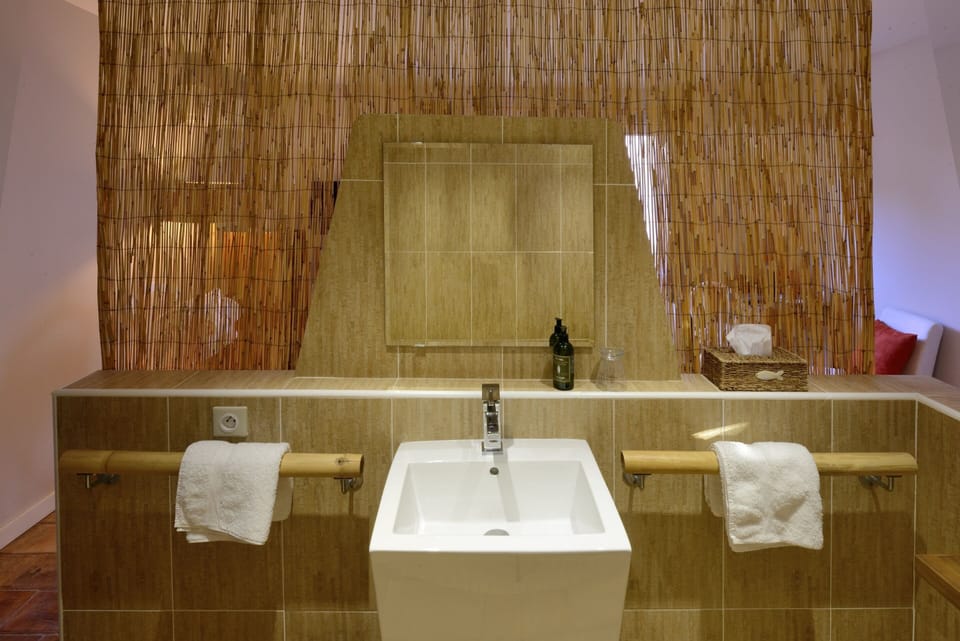 Double Room, Ensuite, Garden View (Les Canisses) | Bathroom | Shower, rainfall showerhead, free toiletries, hair dryer