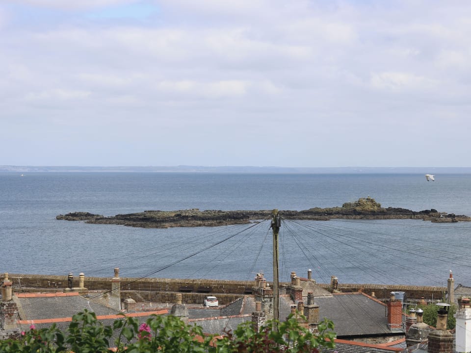 Cottage | Miscellaneous