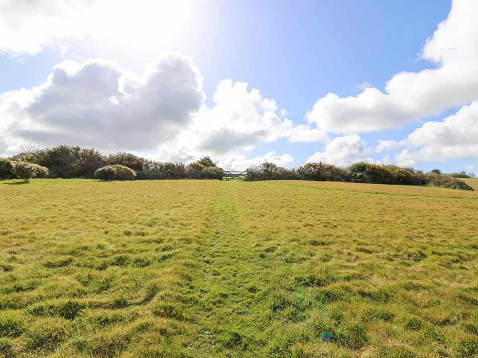 Cottage | Miscellaneous