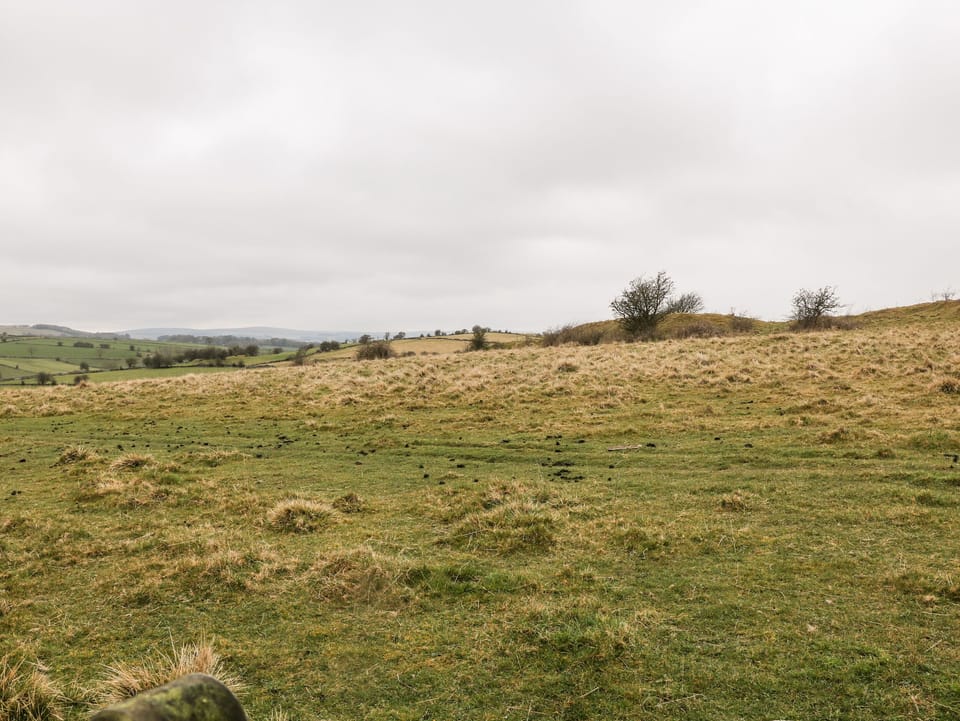 Cottage | Property grounds