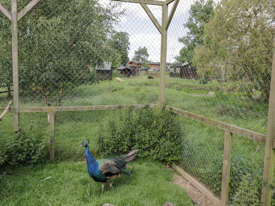 Cottage | Property grounds