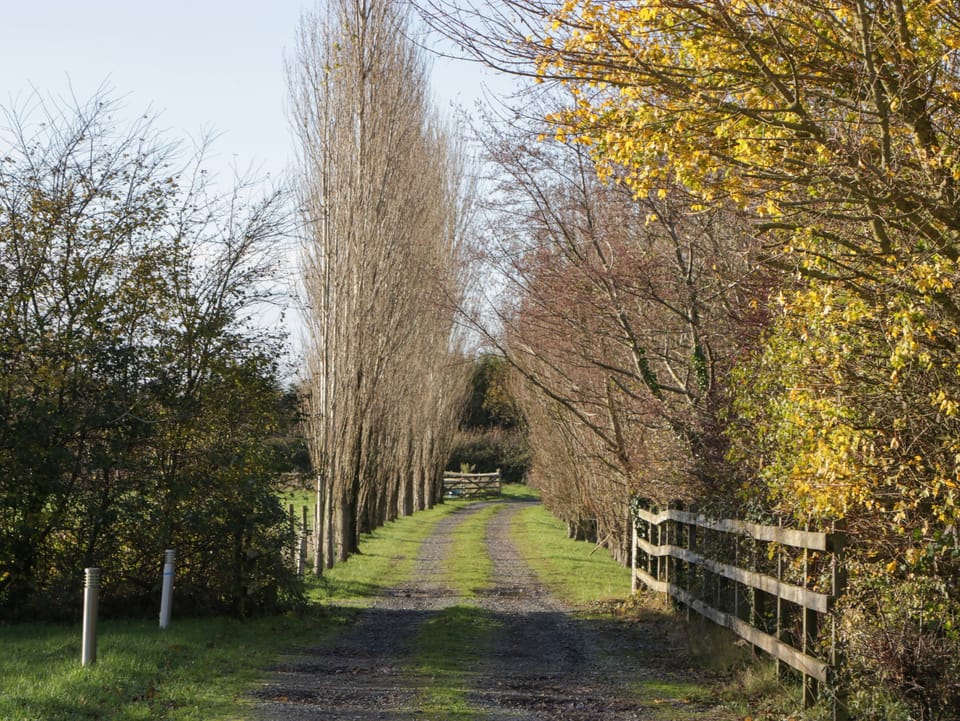 Cottage | Miscellaneous