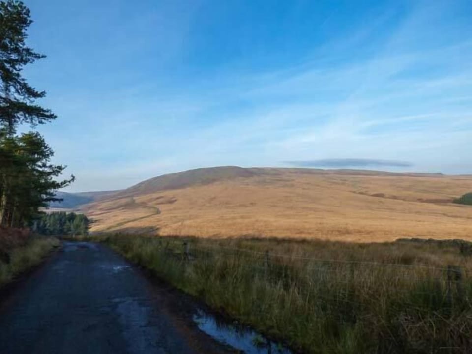 Cottage | Miscellaneous