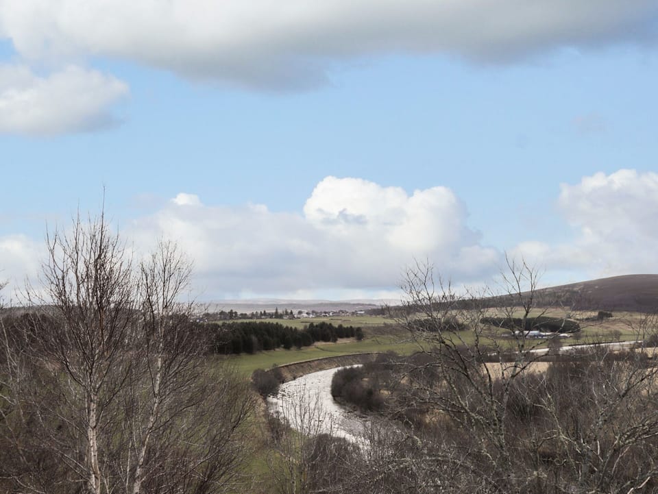 Cottage | Miscellaneous