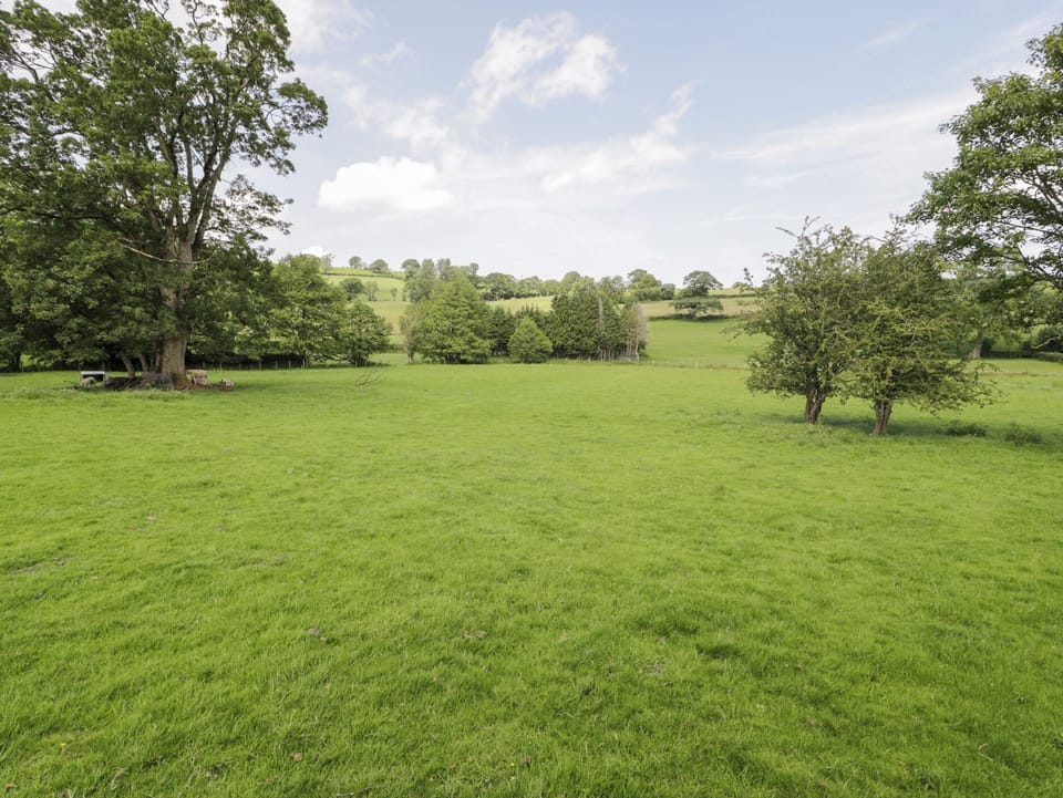 Cottage | Miscellaneous