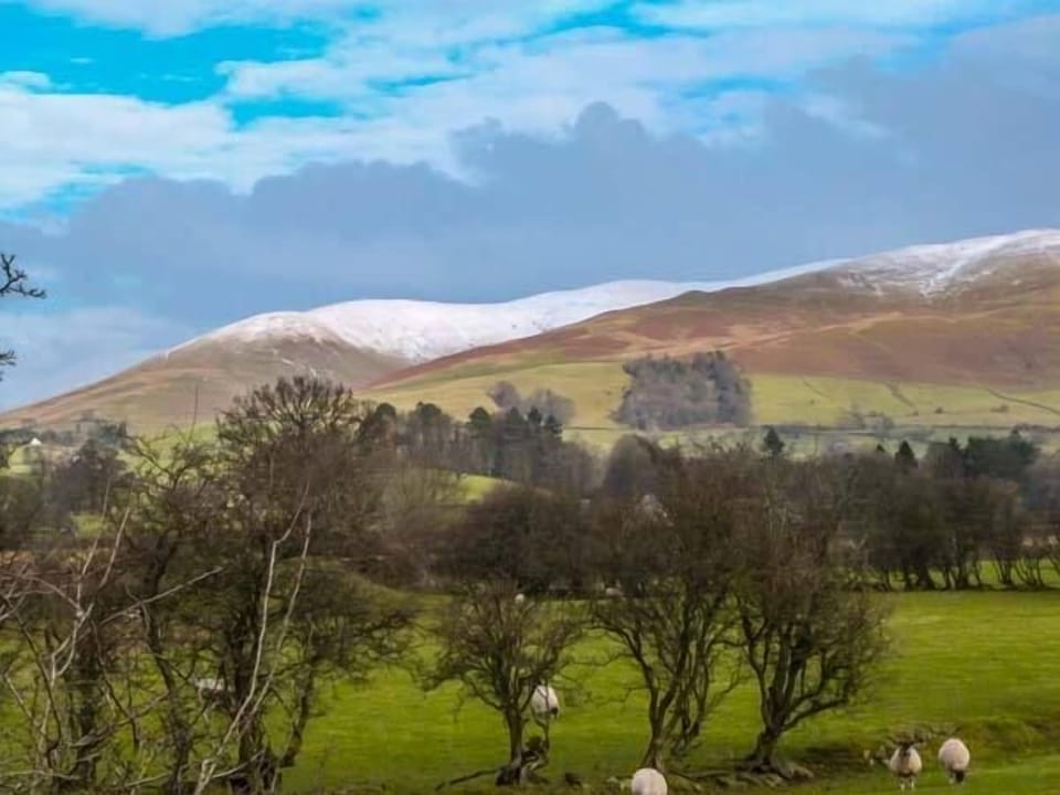 Fells Cottage Cottage in England