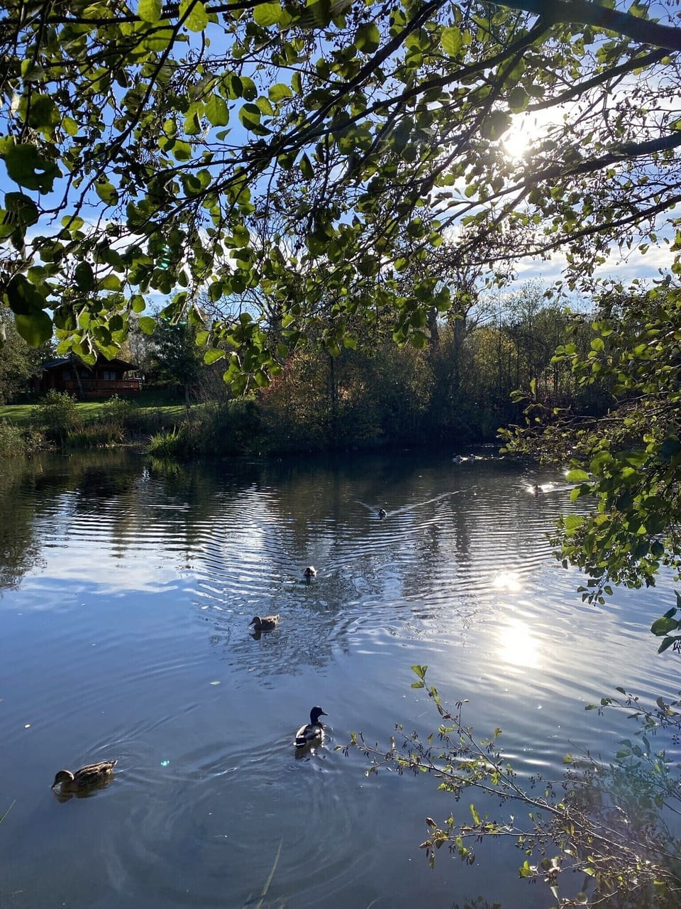 Apartment, Private Bathroom (Angie's Haven) | Exterior