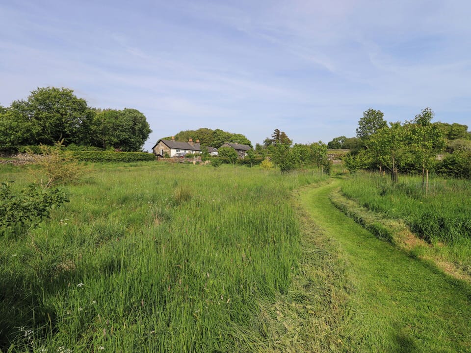 Cottage | Miscellaneous
