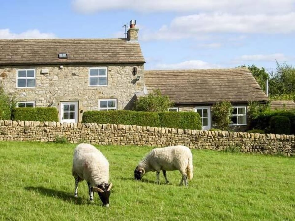 Cottage | Interior
