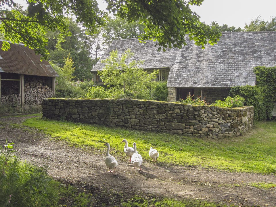 Cottage | Interior