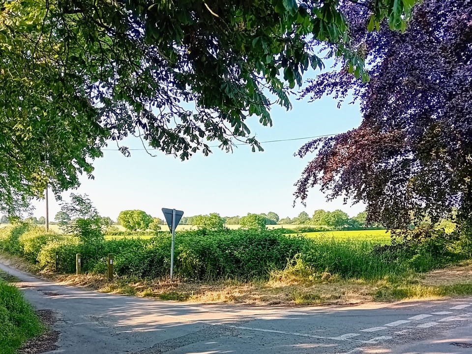 Cottage | Property grounds