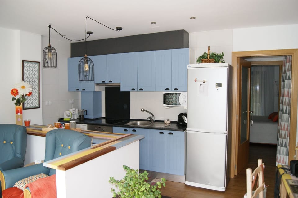 Full-size fridge, microwave, oven, stovetop
