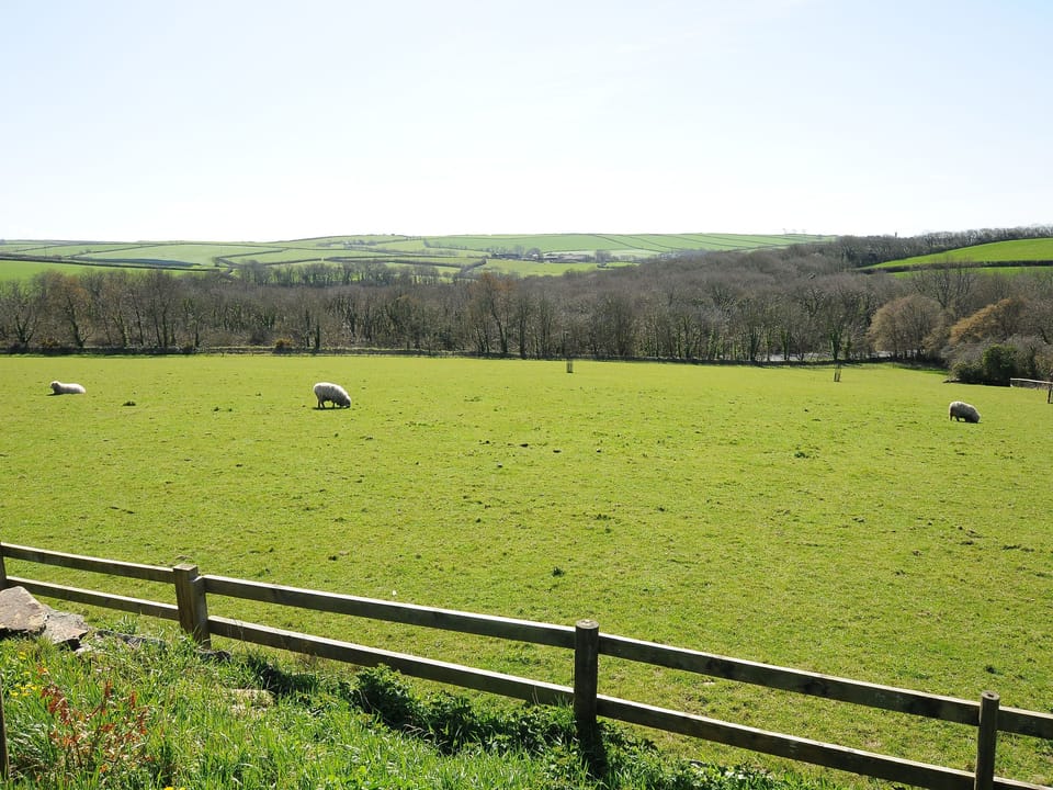 Cottage | Property grounds