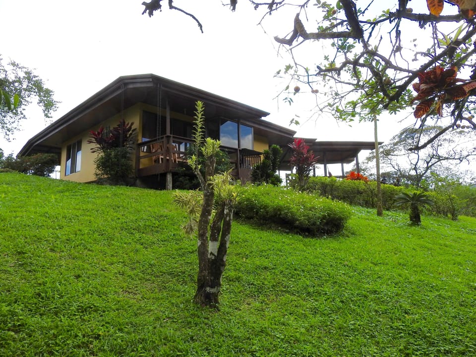 house from the garden , the trees around the property are taller now