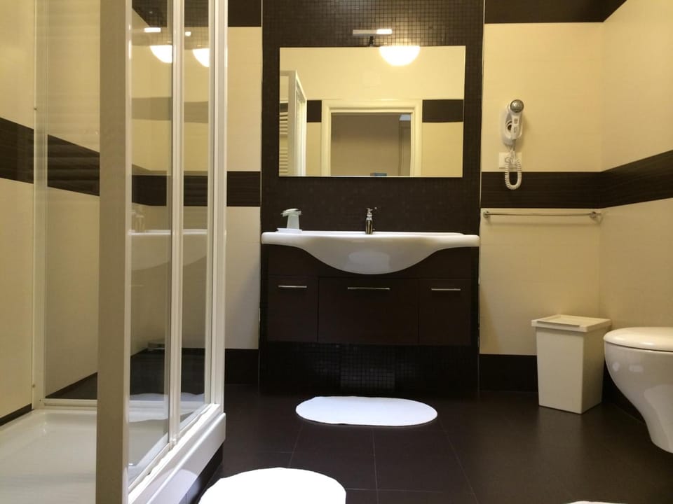 Shower, free toiletries, hair dryer, bidet