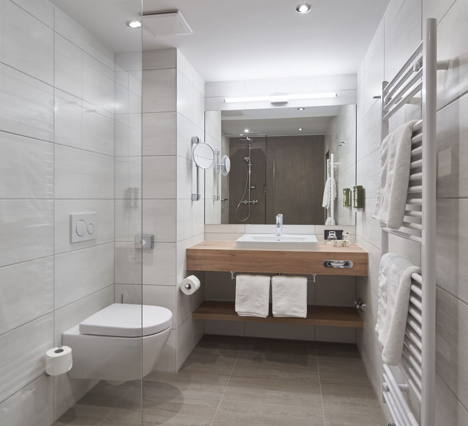 Deluxe Double Room | Bathroom | Free toiletries, hair dryer, bathrobes, slippers