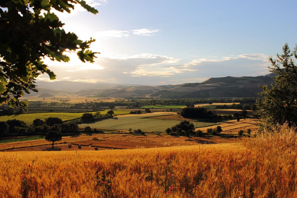 Land view from property