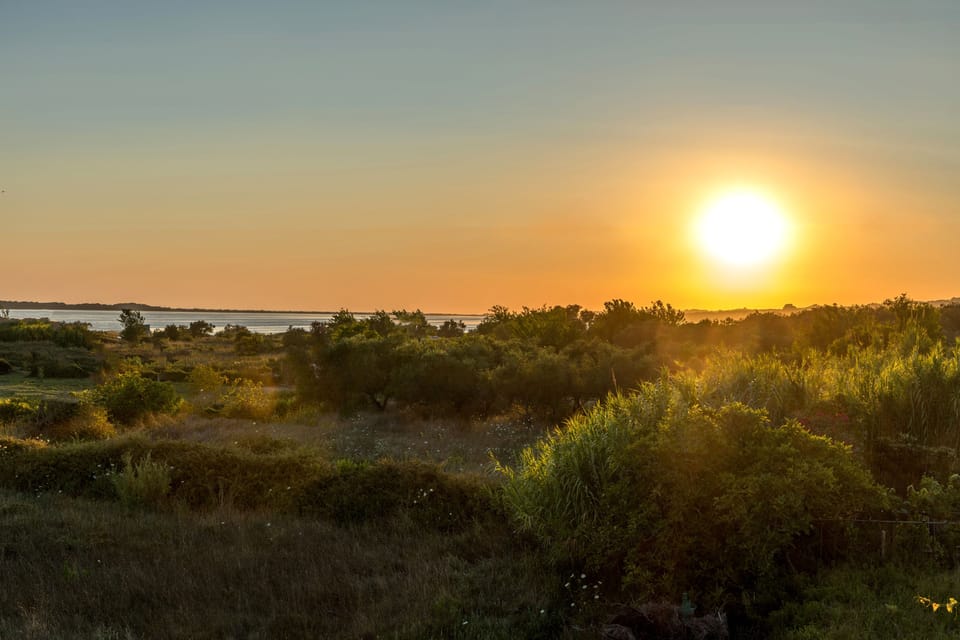 Land view from property