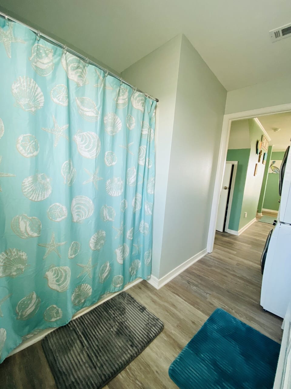 Downstairs shower/tub