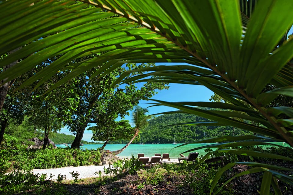 Beach nearby, white sand, scuba diving, snorkeling