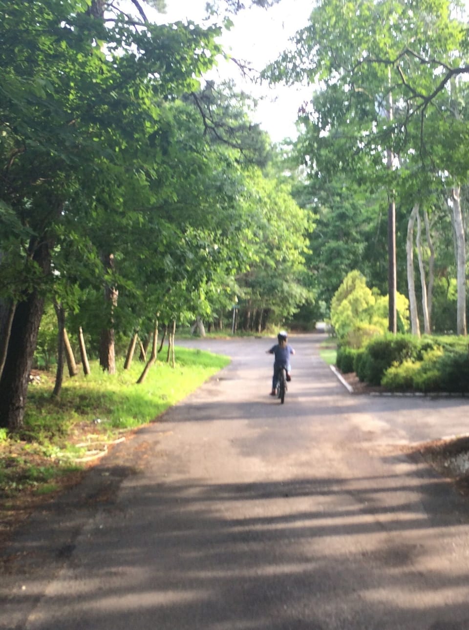 quiet single lane road ideal for families, reunions, and nature enthusiasts