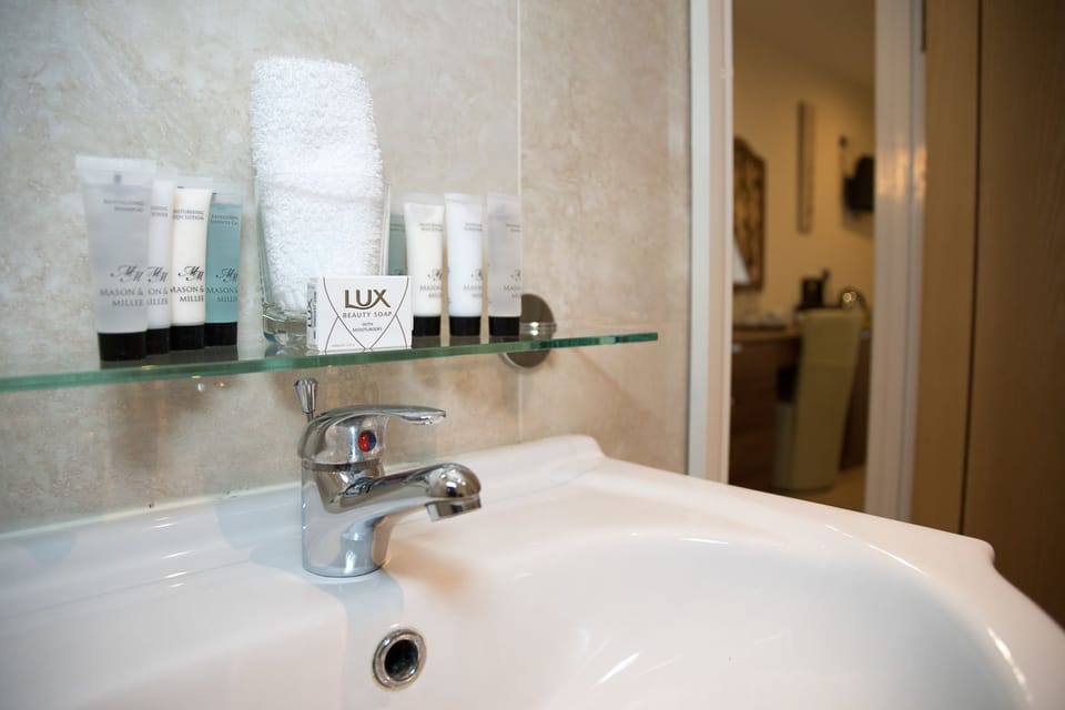 Combined shower/tub, free toiletries, hair dryer, towels