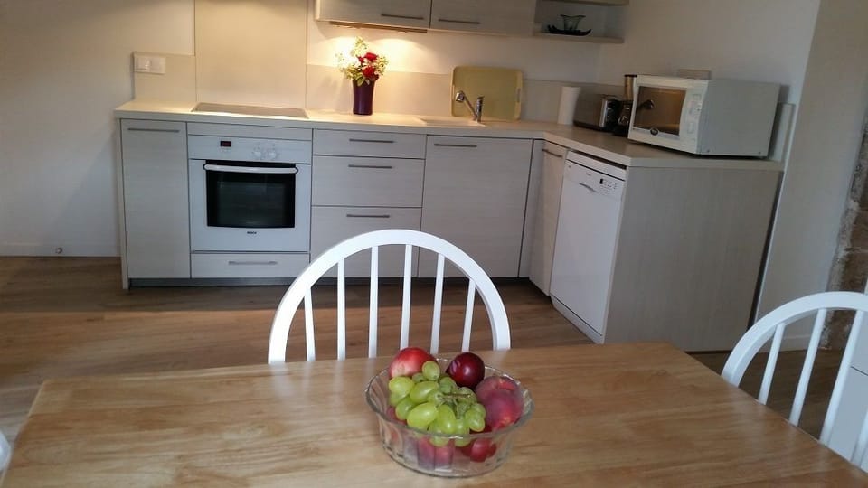 Comfort Apartment, 1 Bedroom, Mountain View | Private kitchen | Fridge