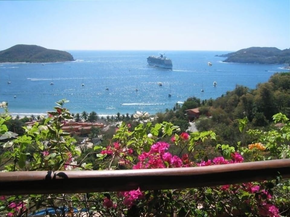 View from terrace