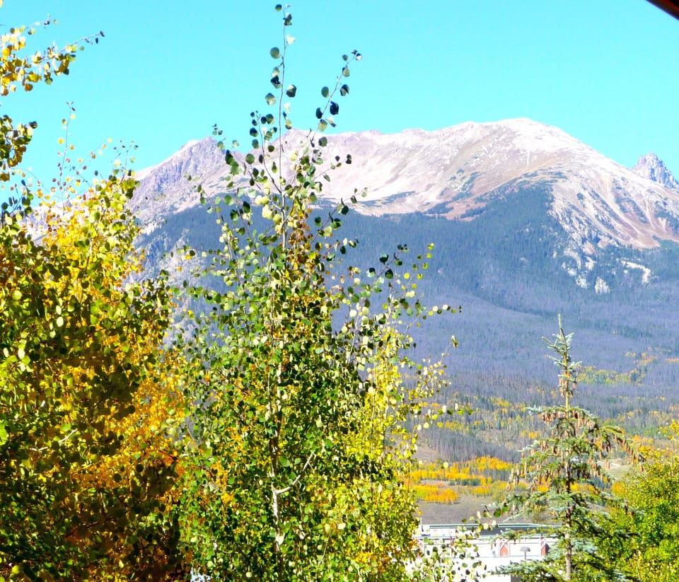 Buffalo Mountain from deck