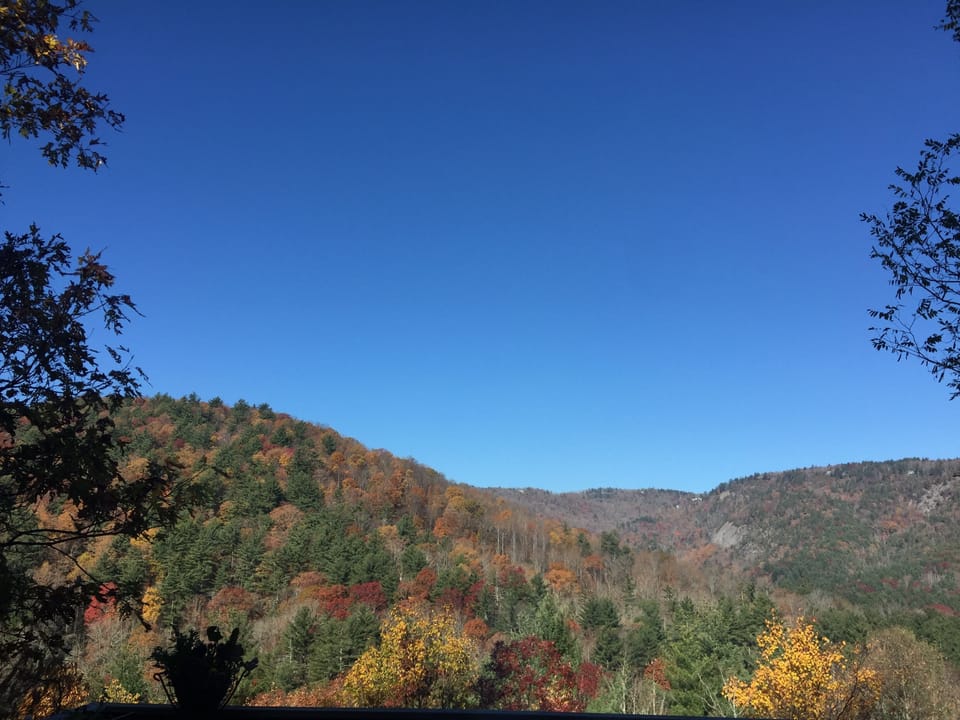 Fall
