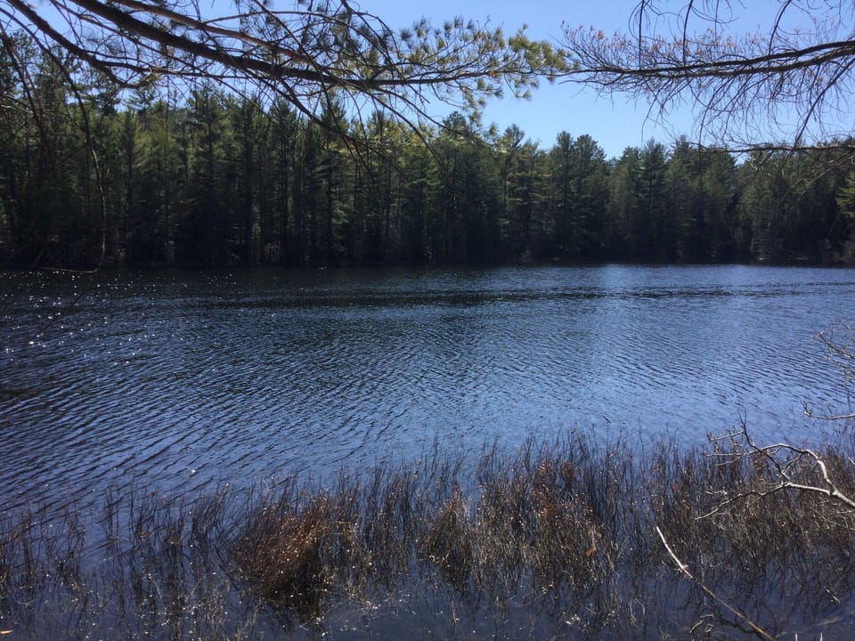 Lake