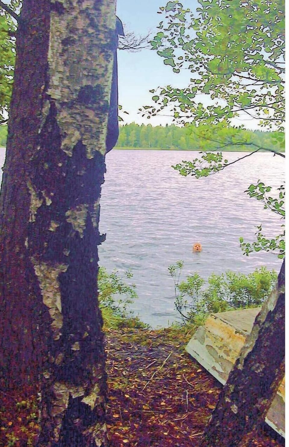 area