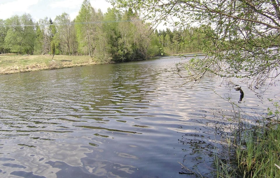 area