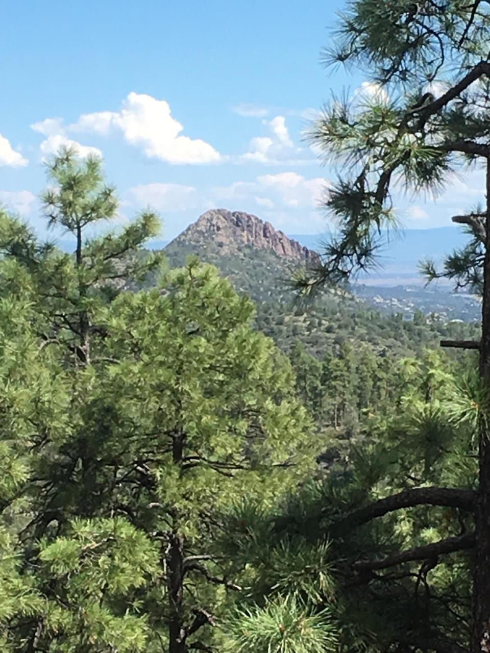 Hiking and biking trails surround you within Prescott National Forest. 