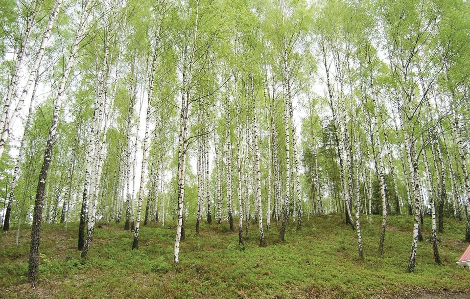 area