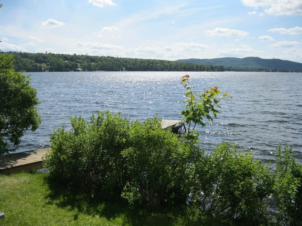 Back Lake view