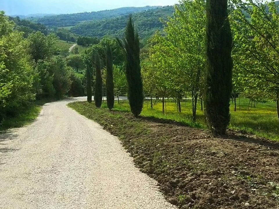 The driveway