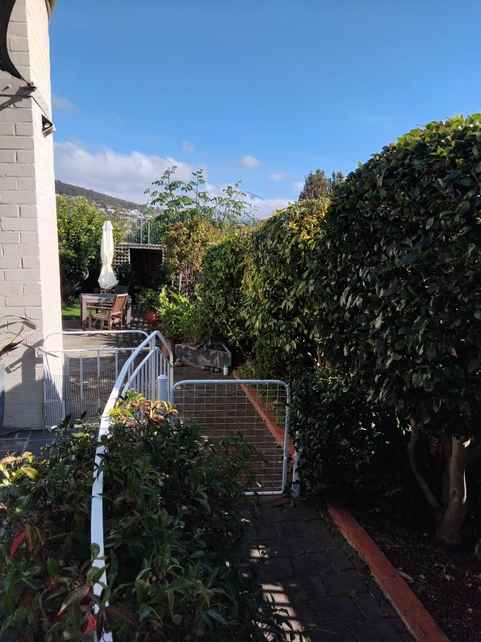 Garden path leading from car to front door. 
