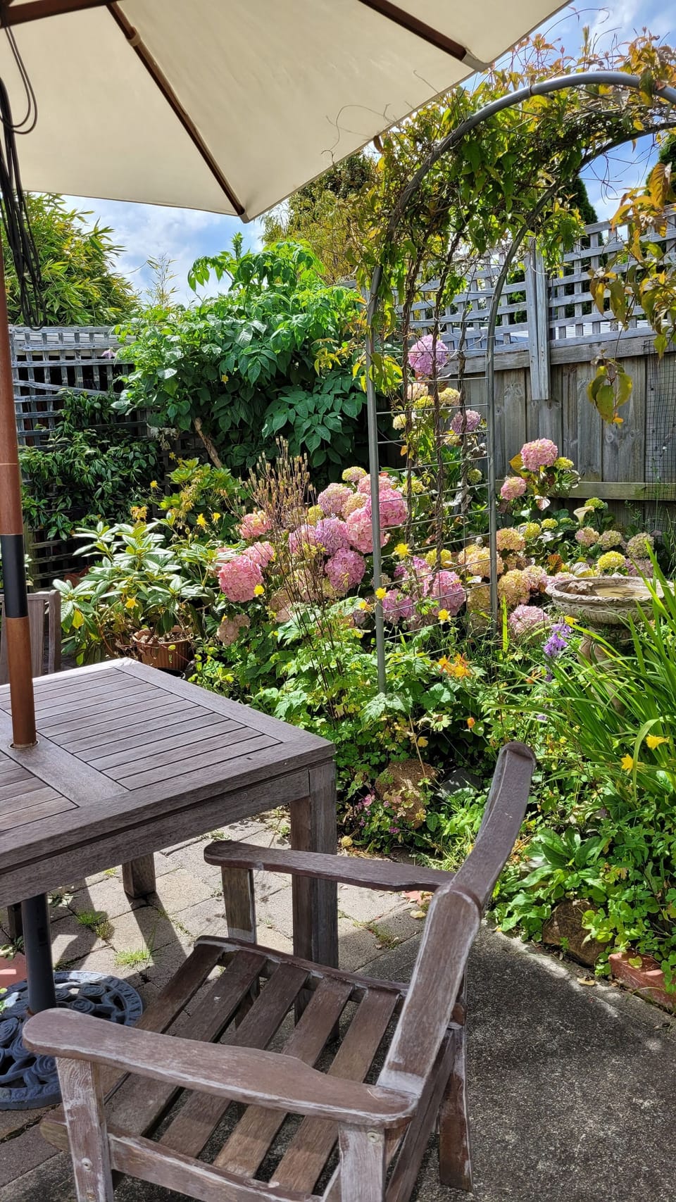 Seasonal flowers from hydrangeas to camellias to fruit blossoms to daffodils .