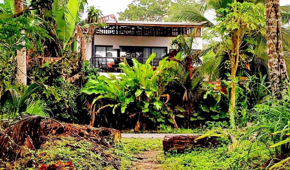 Tucked into the jungle just steps from the Caribbean Sea.