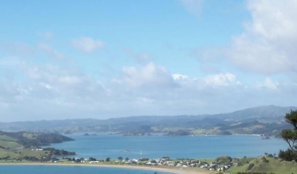 View from one of the bush walks