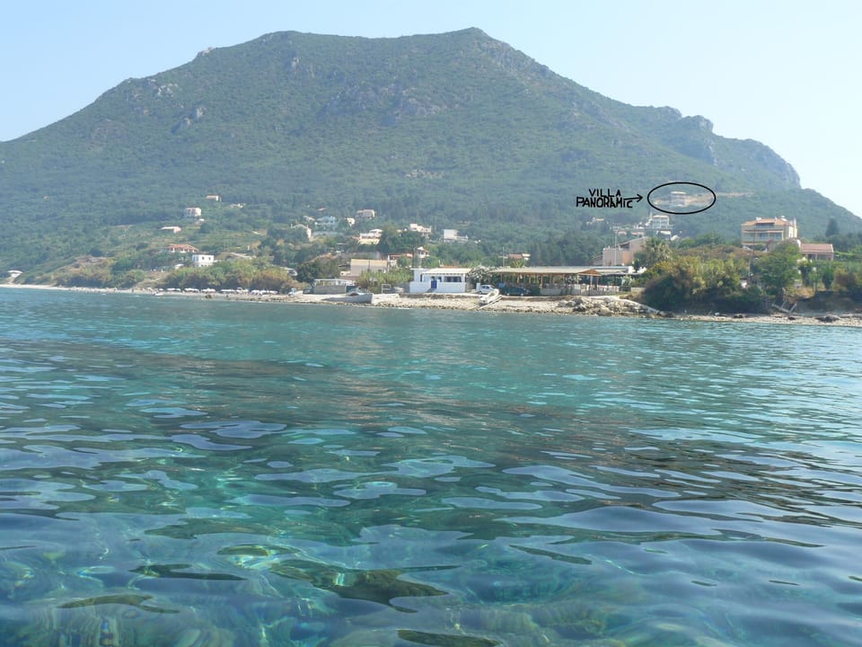 Paramonas area