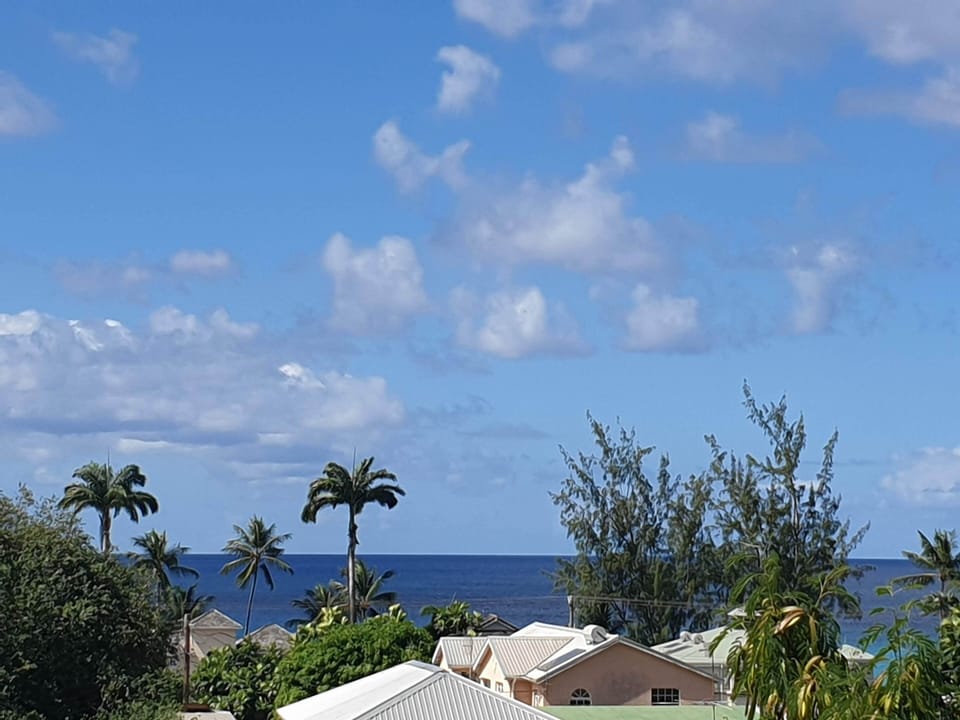 View from Ajoupa